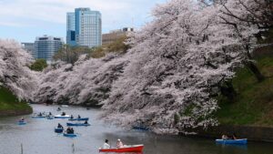 Greater Tokyo